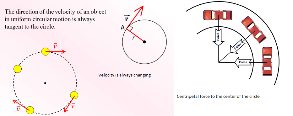 circular motion body diagrams